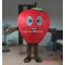 Fruit Mascot Adult Apple Costume