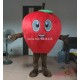 Fruit Mascot Adult Apple Costume