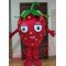 Adult Strawberry Mascot Costume Fruit Mascot Costume