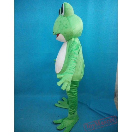 Green Frog Mascot Costumes For Adult