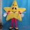 Bling Star Mascot Costume For Adults Smiling Star Costume Adults