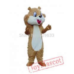 Big Tail Squirrel Mascot Costumes
