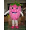 Strawberry Mascot Costumes Halloween Easter