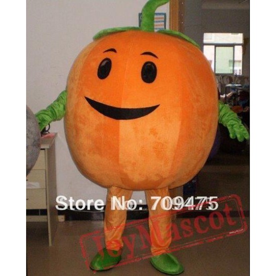 Big Fat Pumpkin Head Cosplay Mascot Costume For Adult Cartoon Animal