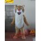 Tiger Cartton Mascot Costumestfit