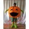 Pumpkin Head Cosplay Mascot Costume For Adult Cartoon Animal
