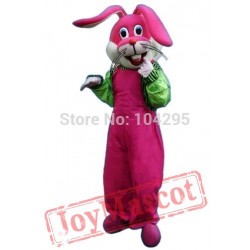 Rabbit Mascot Costumes Mascots