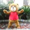 Teddy Bear Mascot Costume Halloween Cartoon