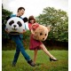 Panda & Teddy Bear Mascot Head