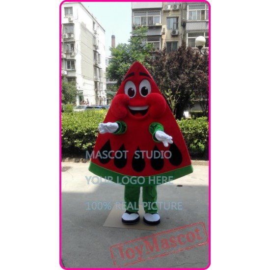 Mascot Waterlemon Mascot Costume Red Waterlemon