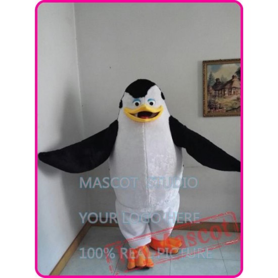 Mascot Mascot Penguins Mascot Costume Cartoon