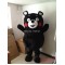 Mascot Bear Mascot Costume