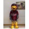 Mascot Falcon Mascot Hawk Eagle Mascot Costume