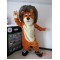 Mascot Lion Mascot Simba Leo Costume