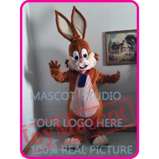 Mascot Easter Rabbit Bunny Mascot Costume