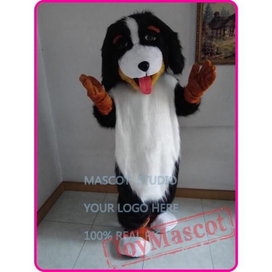 Realistic Bernese Mountain Dog Mascot Costume