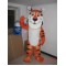 Mascot Tiger Mascot Cat Costume