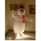 Mascot Snowman Mascot Costume