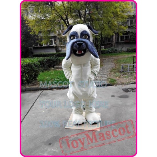 Bulldog Mascot Bull Dog Costume