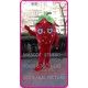 Mascot Strawberry Mascot Fruit Mascot Costume