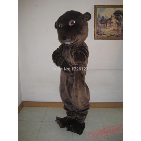 Mascot Beaver Sinocastor Castor Mascot Costume