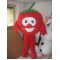 Mascot Tomato Mascot Vegetable Costume