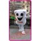 Mascot Tooth Teeth Toothbrush Mascot Costume