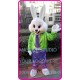 Mascot Mr Easter Bunny Mascot Costume Cartoon Rabbit Cosplay