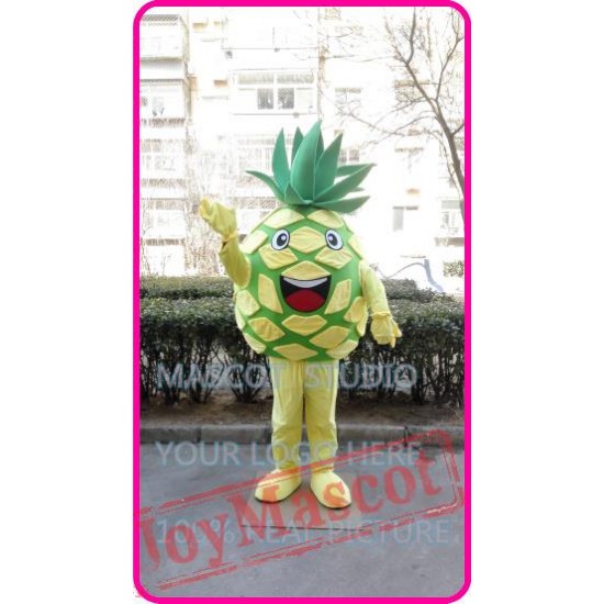 Mascot Pineapple Mascot Costume