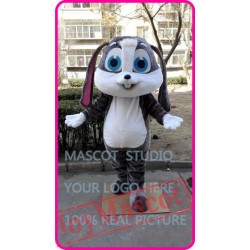 Mascot Bunny Mascot Costume