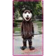 Mascot Brown Bear Mascot Costume Adult