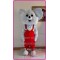 Kaola Bear Mascot Costume