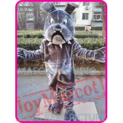 Mascot Bulldog Bull Dog Mascot Costume