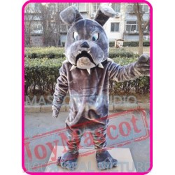 Mascot Bulldog Bull Dog Mascot Costume