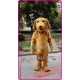 Mascot Plush Labrador Dog Mascot Costume Cartoon