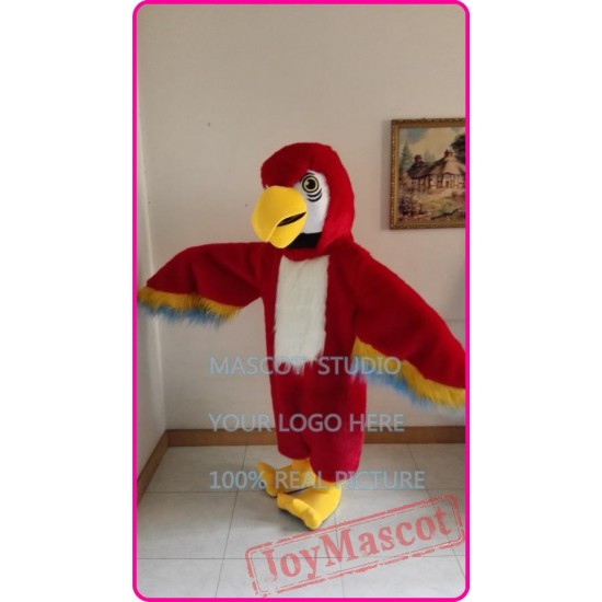 Mascot Parrot Mascot Costume Cartoon Adult