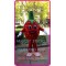 Mascot Strawberry Mascot Costume