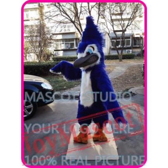 Mascot Blue Jay Eagle Mascot Costume