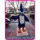 Mascot Blue Jay Eagle Mascot Costume