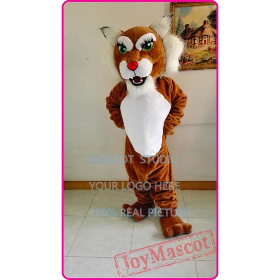 Mascot Wildcat Mascot Bobcat Courgar Mascot Costume