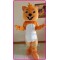 Mascot Yellow Bear Mascot Costume Cartoon Anime 