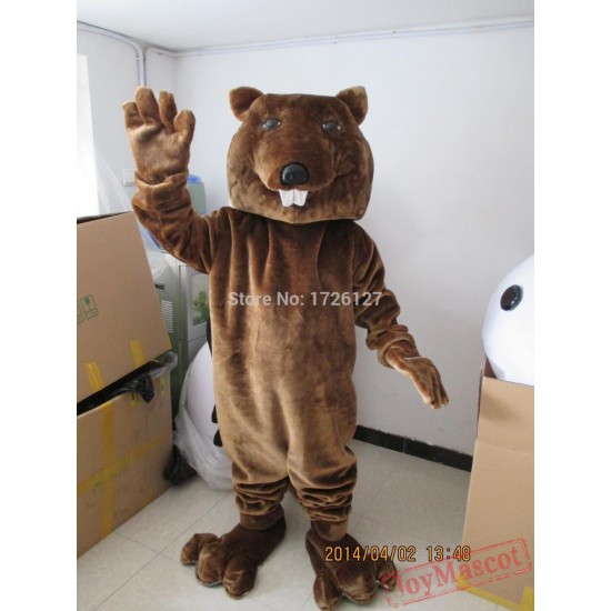 Mascot Beaver Sinocastor Mascot Costume