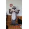 Mascot Grey Wolf Mascot Coyote Werewolf Costume