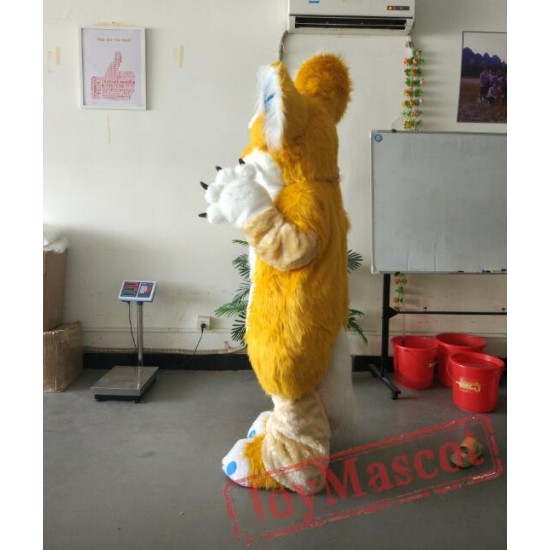 Fox Fursuit Mascot Costume Fursuit Costumes