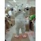 Polar Bear Mascot Costume Polar Bear Mascot Costume