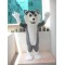 Unisex Husky Wolf Mascot Costume