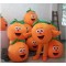 Fruit Mascot Costume Pumpkin Cartoon Costume