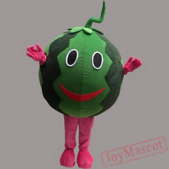 Watermelone Cartoon Mascot Costume