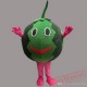 Watermelone Cartoon Mascot Costume
