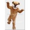 bearcat mascot costume